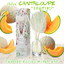 CANTALOUPE แคนตาลูป