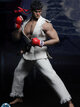 SUPER DUCK SET022 COSPLAY - Fighting headsculpt Costumes Suit