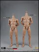 COOMODEL BD003, BD004 Muscle male Body 2.0