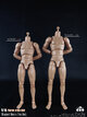 COOMODEL BD007 / BD008 Standard & High Standard Muscle Arm Body