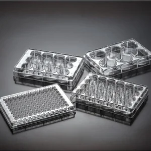 Greiner Tissue Culture 96-Well Plates With Lid – Flat Bottom – Sterile – 100/Case